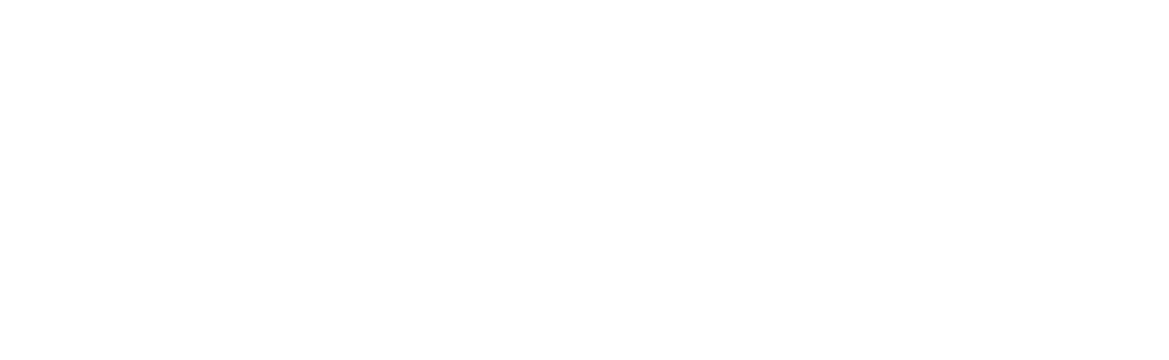 White logo - Routes healthcare